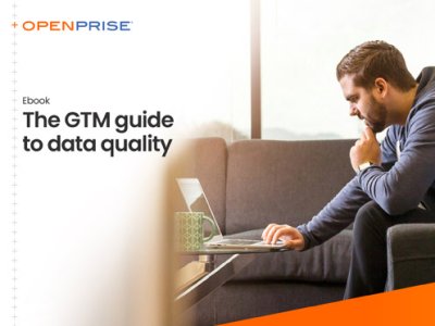 Ebook - The GTM guide to data quality