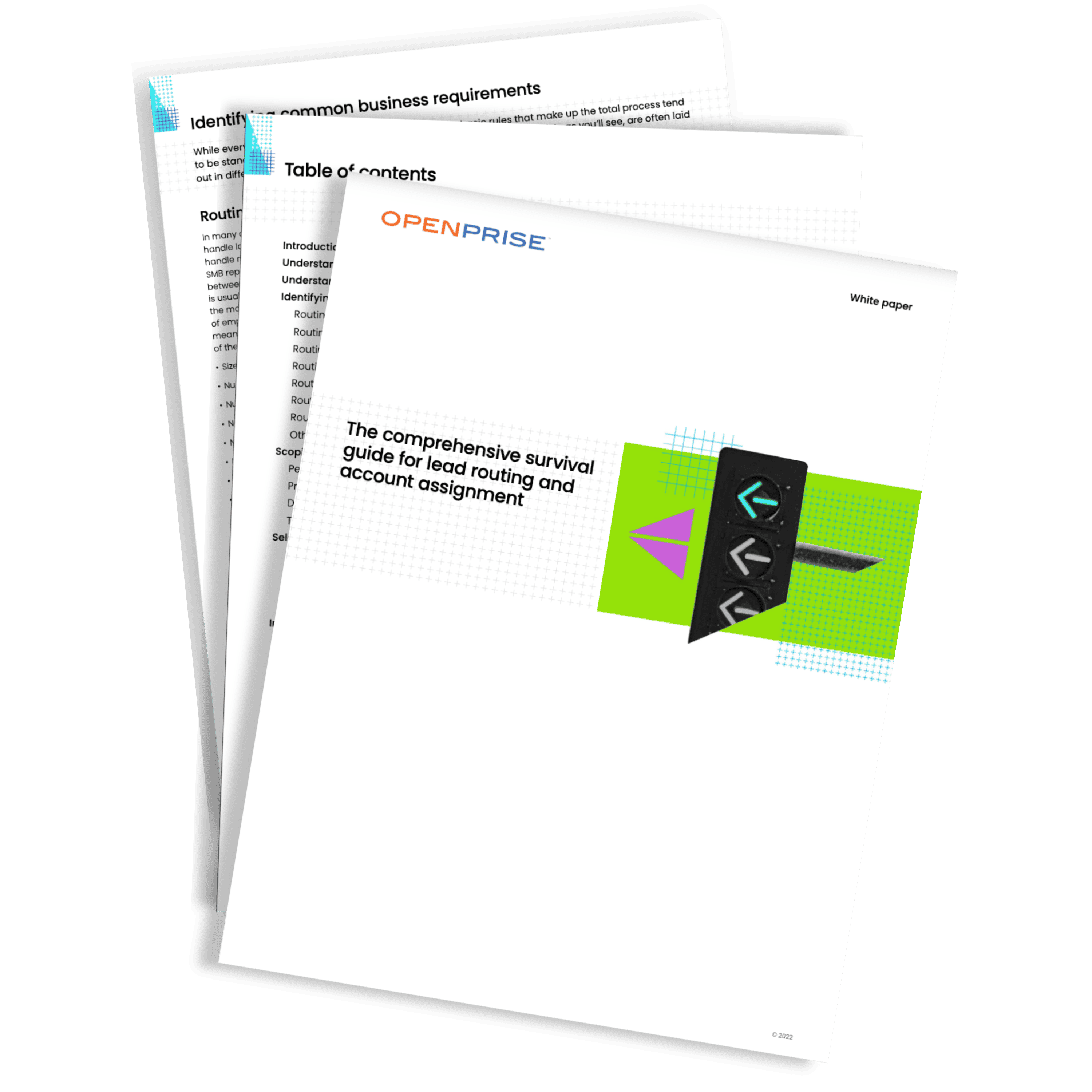 WHITE PAPER Comprehensive survival guide for lead routing and account assignment - pages