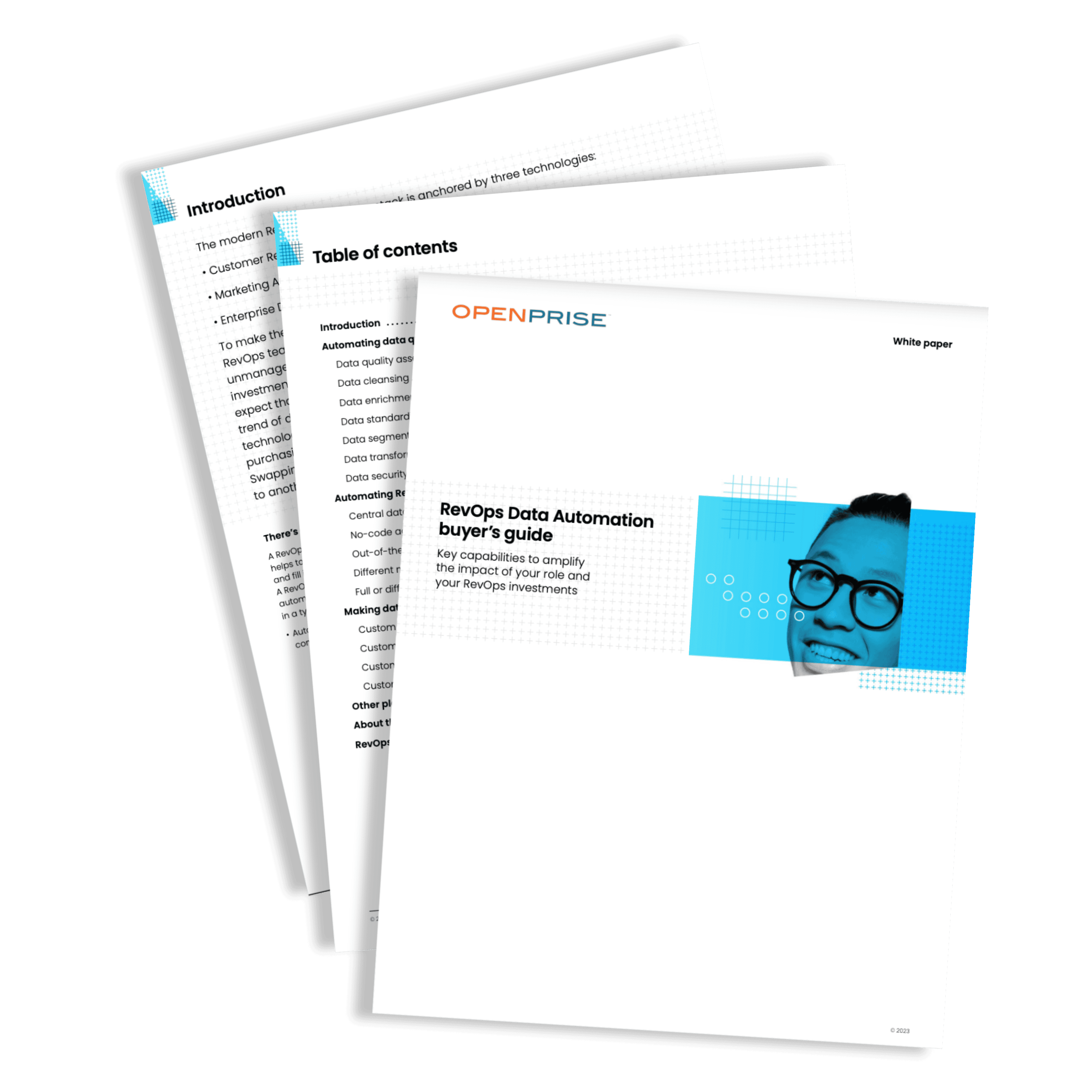 WHITE PAPER RevOps Data Automation buyer's guide