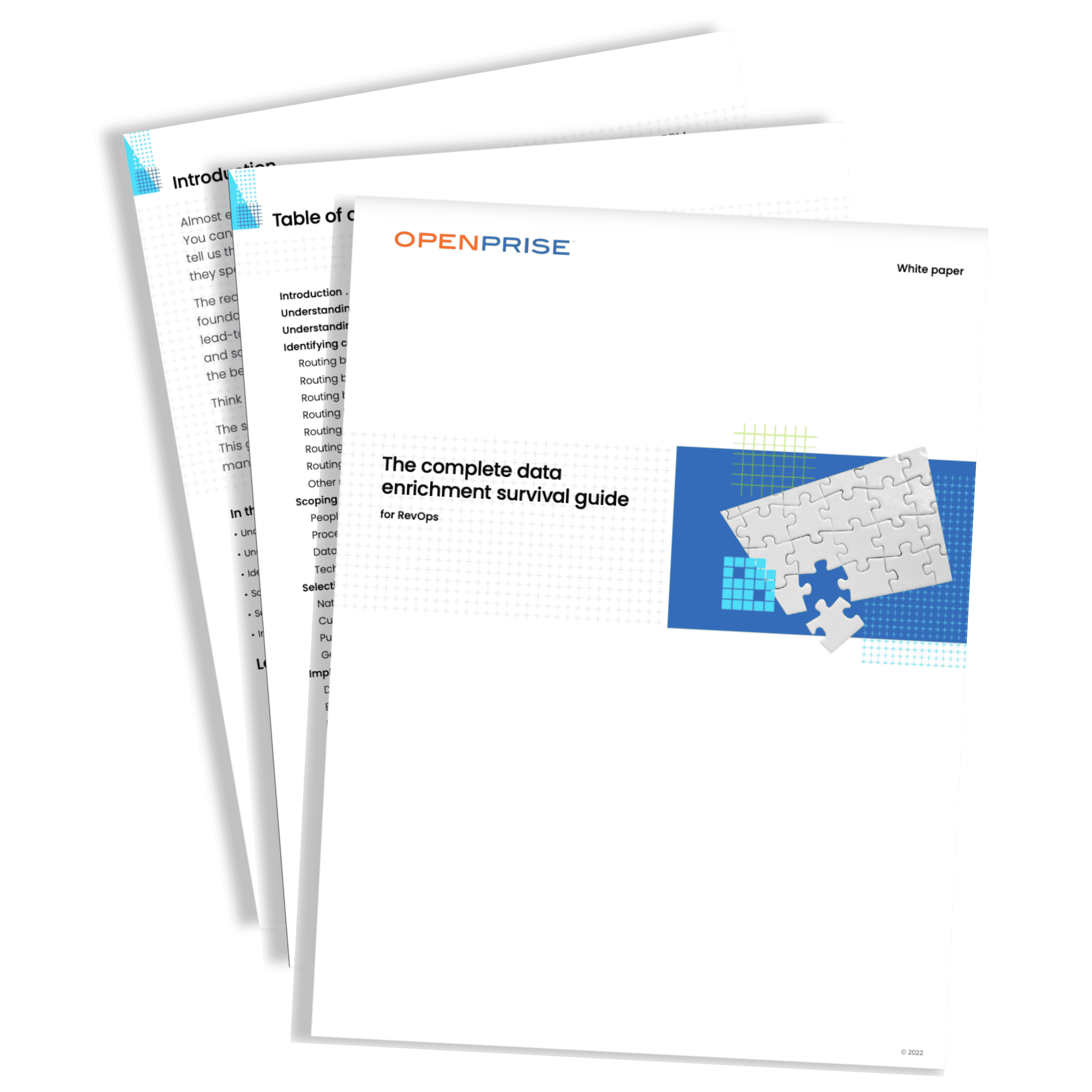 WHITE PAPER The complete data enrichment survival guide