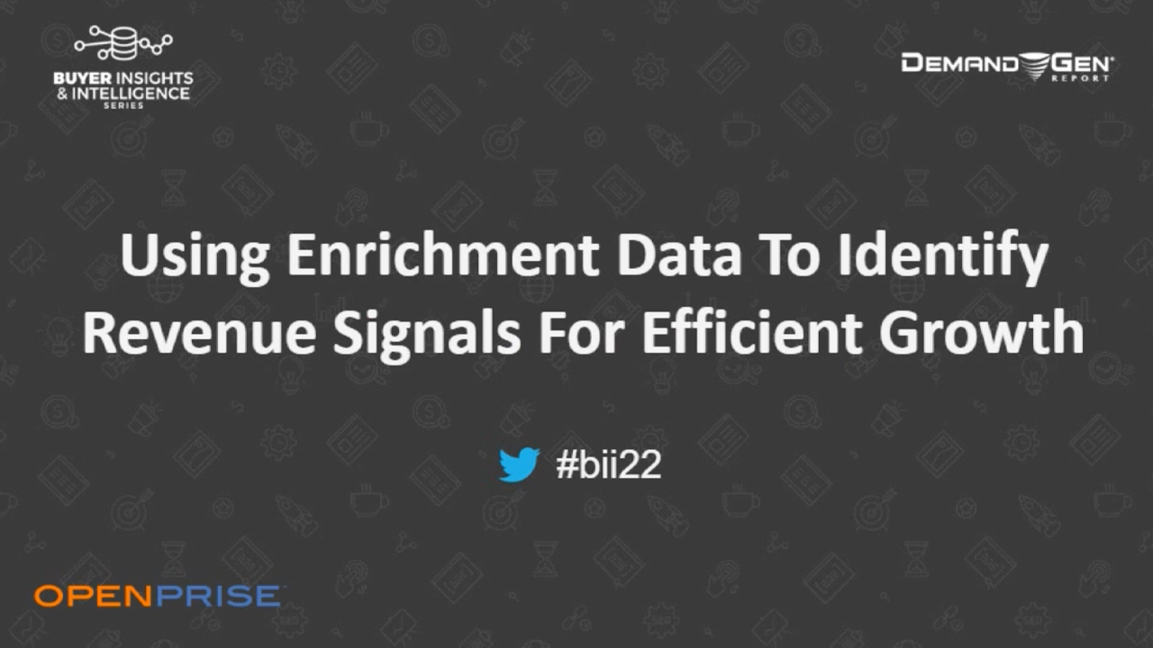 Using enrichment data to identify revenue signals