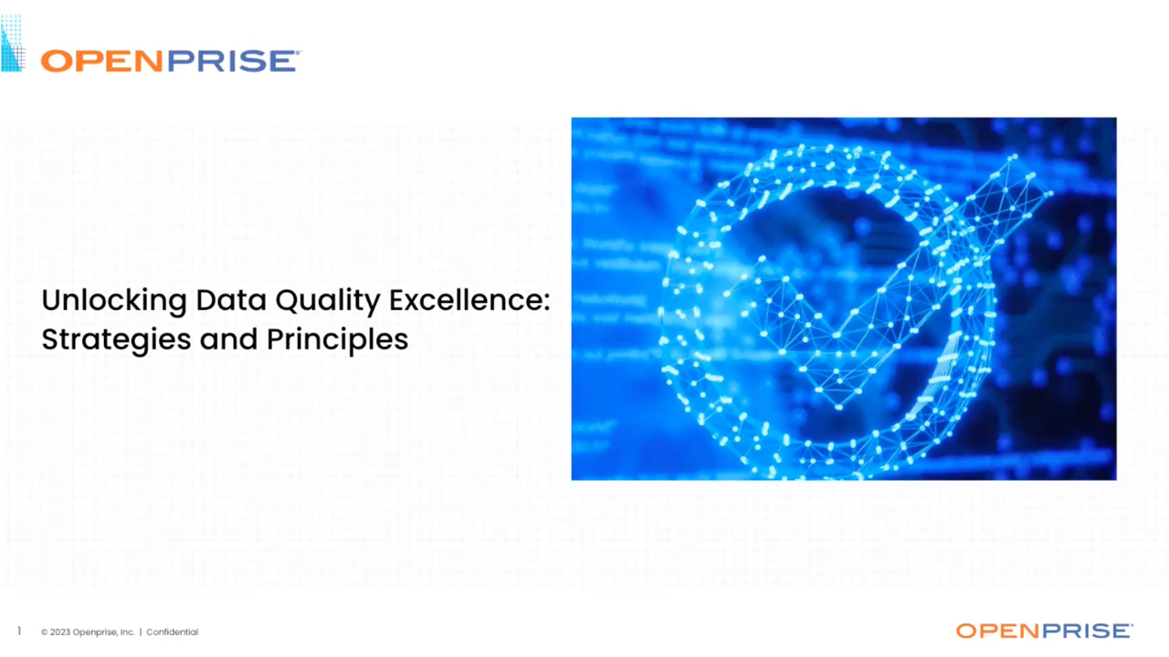 Unlocking data quality excellence: strategies and principles